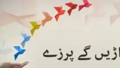 آمنہ مفتی کا کالم اُڑیں گے پرزے