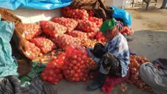 Бир қоп пиёзни тозалаб, сотишга тайёрлаш учун минг сўм ҳақ берилади