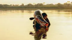 파이체(피라루쿠)는 고급 요리 재료로 많이 사용된다