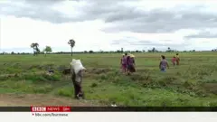 စစ်ကိုင်း မကွေးမှာ စာနာ ကူညီဇို့ NUG ပြော