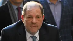 हार्व्हे वाइनस्टीन