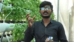 హైడ్రోఫోనిక్ వ్యవసాయం