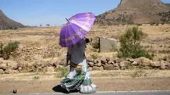 Tigray