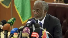 የሱዳን የቀድሞ የውጭ ጉዳይ ሚንስተር አሊ ካርቲ