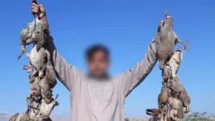 شکاری سوشل میڈیا سے خود شکار ہو گئے