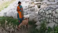 नेपाल भारत