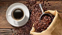 Você sabia que o café são as sementes torradas de um tipo de cereja? Ou que o café também é usado para produzir farinha?