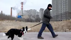 Man walking dog in Harbin, northern China