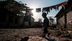 የትግራይ ልጅ
