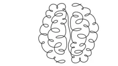 Dibujo minimalista del cerebro