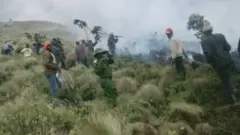 እሳቱ የተነሳበት ፓርክ