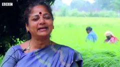 సేంద్రియ వ్యవసాయం