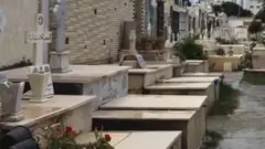 A cemetery in Alexandria