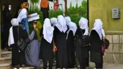 نجونې