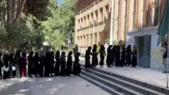 افغان نجونې