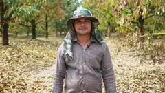 ชาวสวนทุเรียน