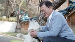 문재인 전 대통령이 청와대 관저에서 반려견 풍산개 곰이를 돌보며 설 명절을 보내는 모습