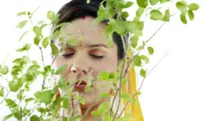 துளசி செடிகள் ஓசோனை வெளியிடுகின்றனவா? அப்படி இருந்தாலும் அது நல்லதா?