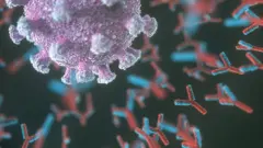Ilustracón de anticuerpos atacando el virus de la covid