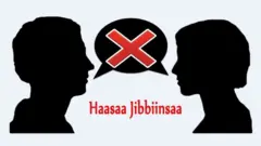 Labsii haasaa jibbiinsaa fi odeeffannoo sobaa Itoophiyaa