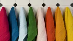 కొన్ని కార్యాలయాల్లో ఉన్నతాధికారులకు బాత్రూంలో ప్రత్యేకంగా టవల్స్ ఉంటాయి.