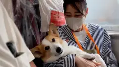 ผู้หญิงอุ้มหมานั่งบนรถไฟ