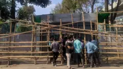 ক্রিকেট, বাংলাদেশ, জিম্বাবুয়ে, করোনাভাইরাস