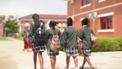 Akekoo pada senu ẹkọ