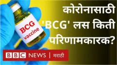 BCG