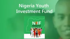 Nigeria Youth Investment Fund