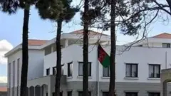 سپیدار