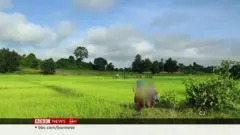 ရသေ့တောင် တိုက်ပွဲကြောင့် ဒေသခံတွေ စစ်ဘေးရှောင်ရ