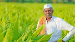 शेतकरी