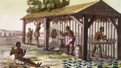 Un dessin du 18e siècle montrant des esclaves travaillant dans une ferme de tabac en Virginie
