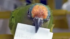 Un oiseau