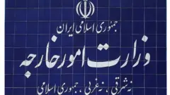وزارت خارجه ایران در بیانیه ای گفته "در مورد رسیدگی ماهوی به پرونده‌هایی که جنبه قضایی دارند فاقد صلاحیت است"