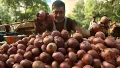 வெங்காயத்தின் விலை
