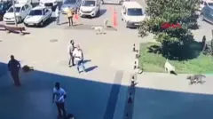 Manisa