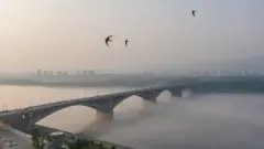 Красноярск в смоге