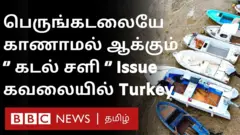 கடலை மூடும் சளி - திகைத்து நிற்கும் துருக்கி அரசு