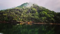 مساحة مفتوحة في أستراليا