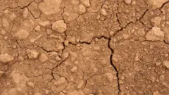 خاک