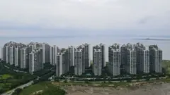 碧桂園森林城市：中國開發商在馬來西亞建造的「鬼城」