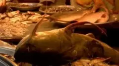 বাংলাদেশের একটি মাছ বাজার