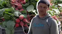 закарпатські фермери