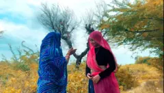 महिलाएं