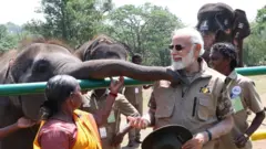 பொம்மன், பெள்ளி