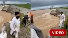 பஞ்சாபின் சுல்தான்பூர் லோதி நகரில் வெள்ளம் ஏற்பட்டது