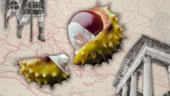 Колаж - каштани та Римська імперія