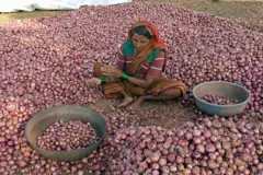 ગુજરાત સહિત સમગ્ર દેશમાં ડુંગળીના ભાવમાં 